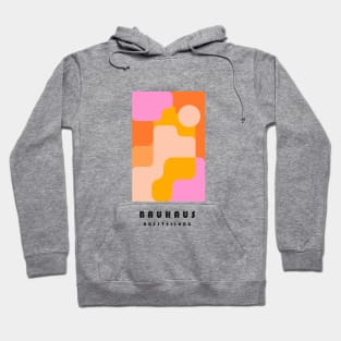 Bauhaus Geometric Shapes in Pink Hoodie